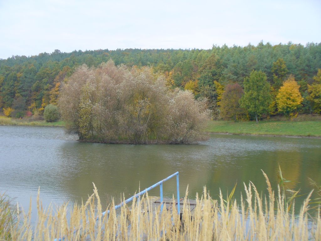 nachytano.cz