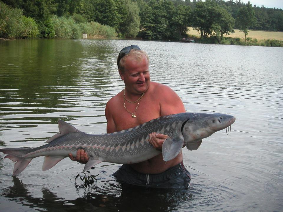 nachytano.cz