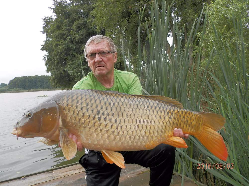 nachytano.cz