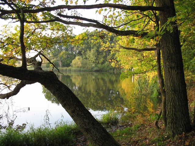 nachytano.cz