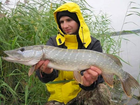 nachytano.cz
