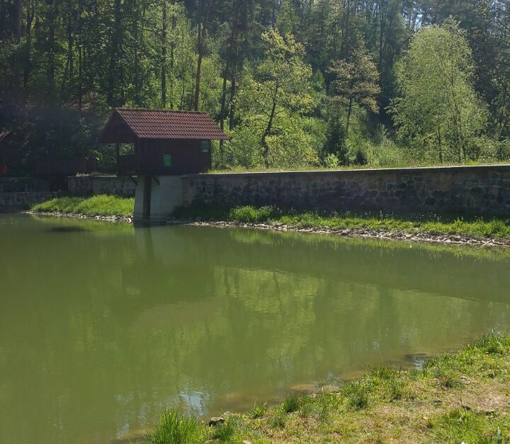 nachytano.cz