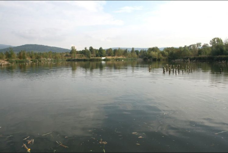 nachytano.cz