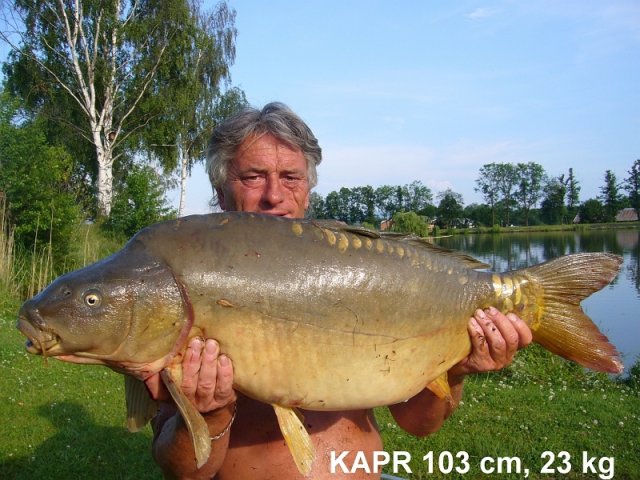 nachytano.cz