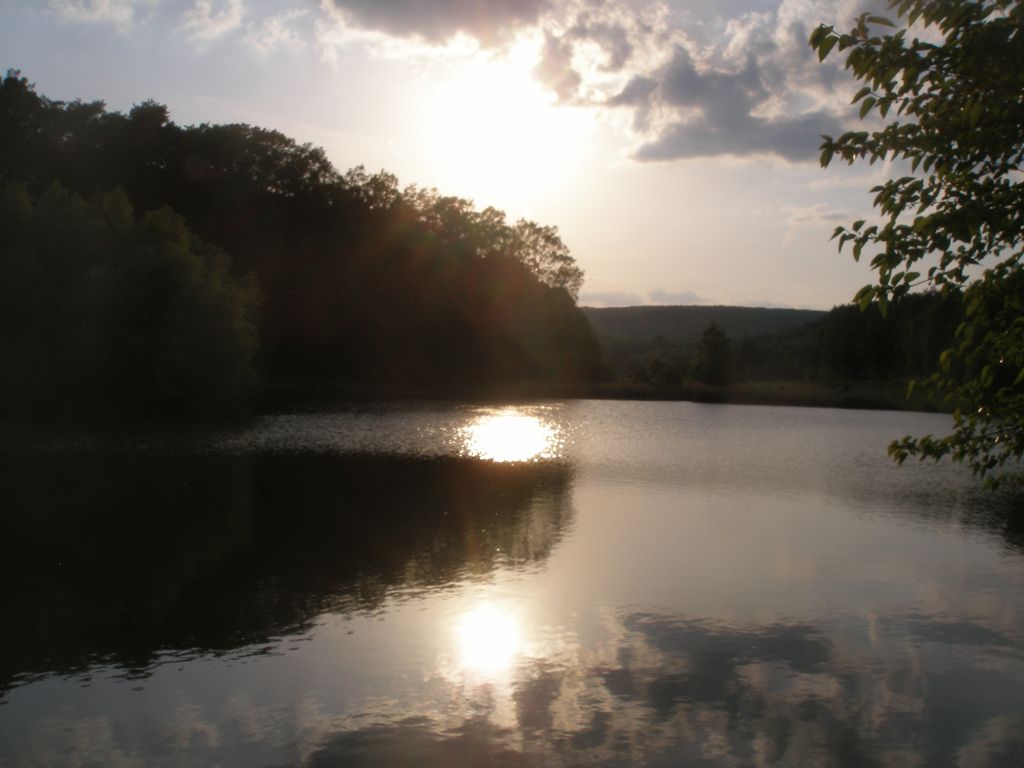 nachytano.cz