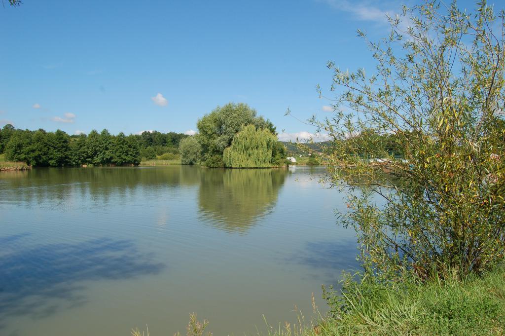nachytano.cz