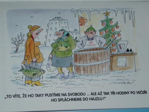 nachytano.cz