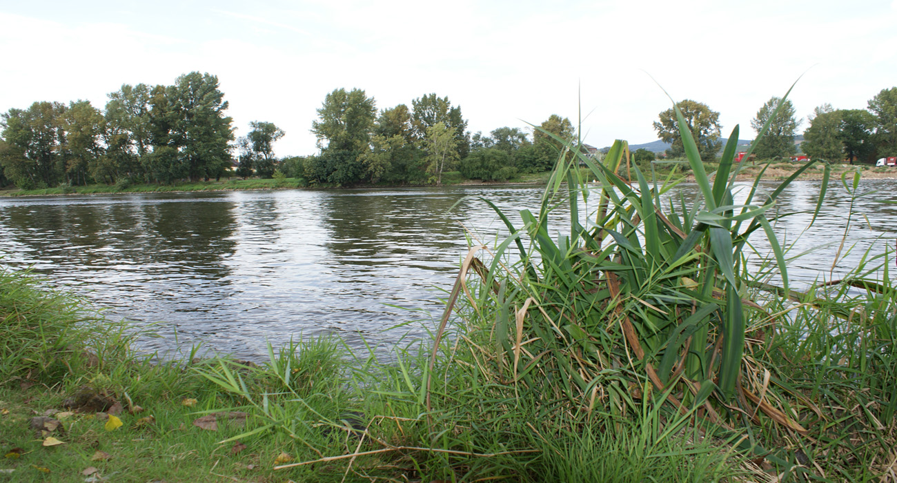 nachytano.cz