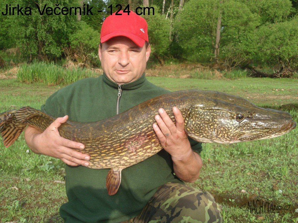 nachytano.cz
