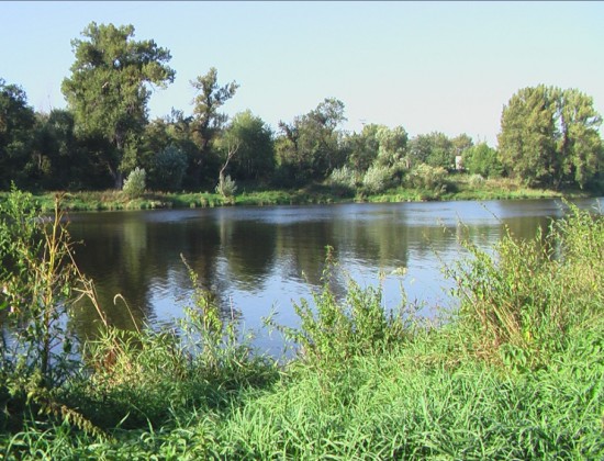 nachytano.cz