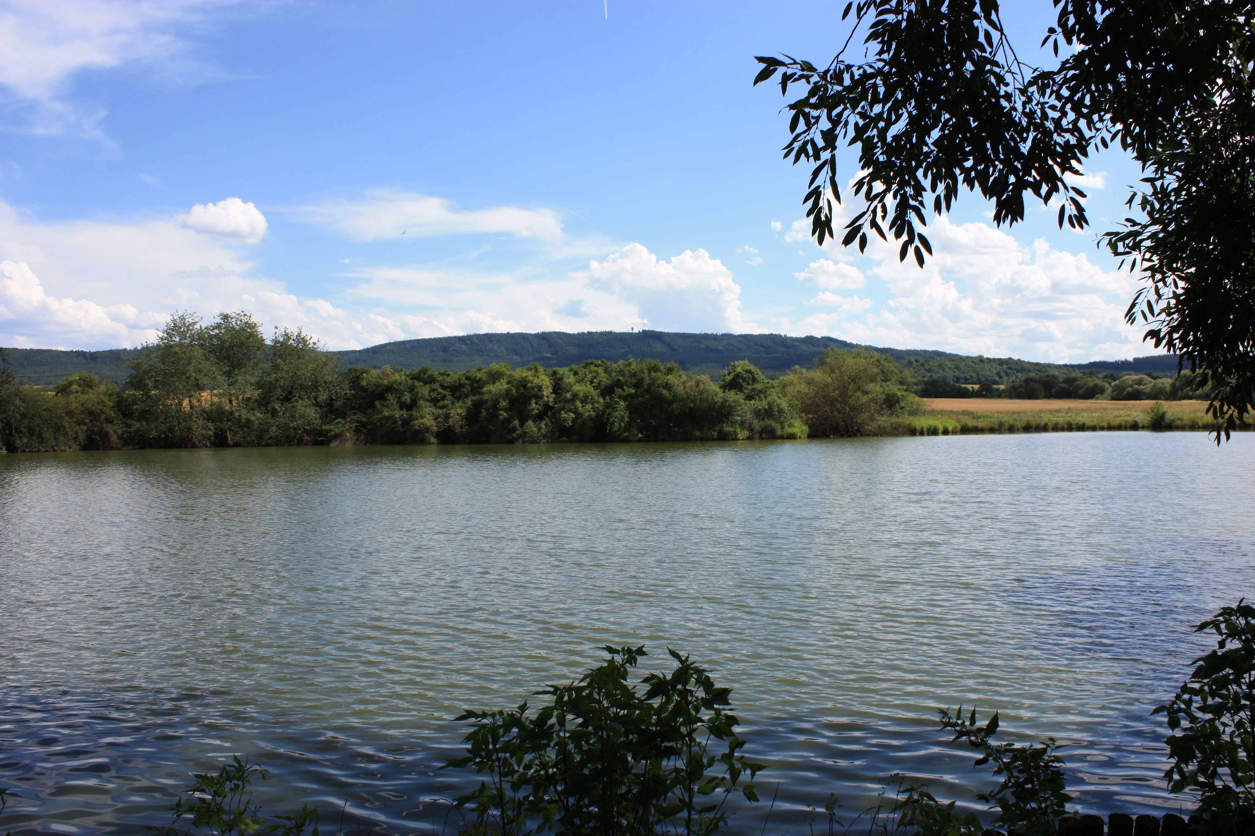 nachytano.cz