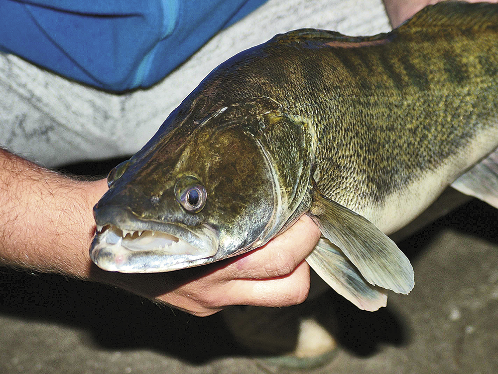 nachytano.cz